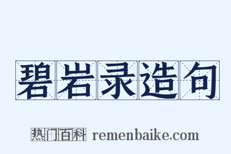 碧岩录造句是什么意思的图片